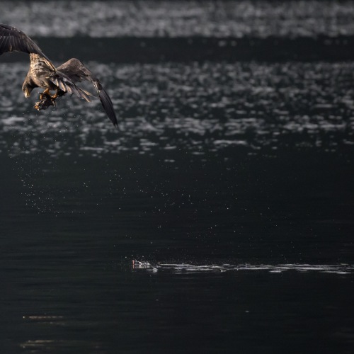 DSC9218-2025-12-13_edit