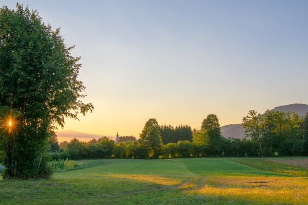 DSC8762-Slovenia
