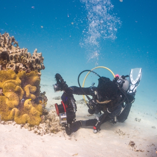 DSCI0210-HeatherUWphoto