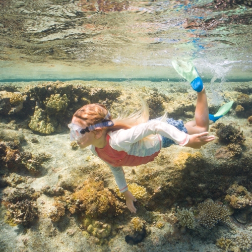 DSCI2307-Snorkel