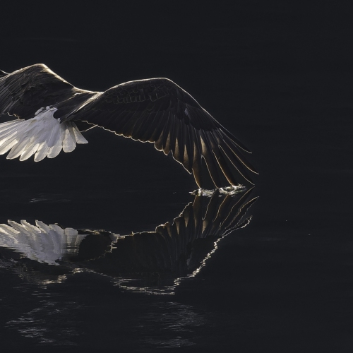 KarenEdwards_DSC_6534